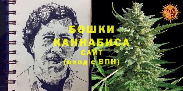 дмт Дмитриев