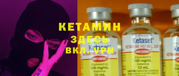 шишки Дмитров