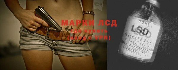 spice Ельня