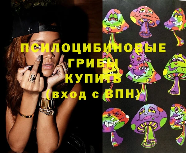 spice Ельня