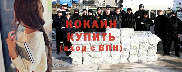 spice Ельня