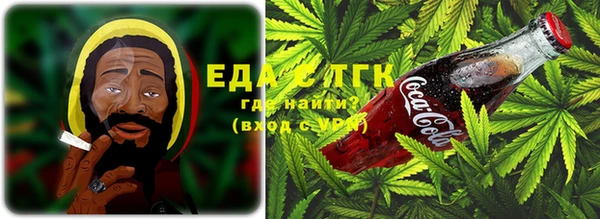 spice Ельня