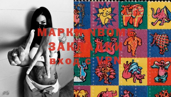 spice Ельня